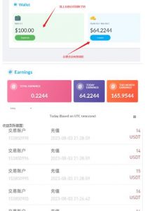 外面收费几千上万的visionstube愿景管撸美金项目，单日收益30-50美金+工作室可批量多开搞-林文副业站
