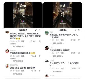 副业拆解：抖音杰伦音乐号涨粉变现项目，视频版一条龙实操玩法分享给你-林文副业站