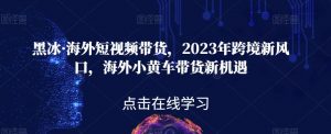 黑冰·海外短视频带货,2023年跨境新风口,海外小黄车带货新机遇-林文副业站