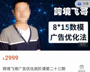 跨境飞哥·广告优化高阶课第二十三期,8*15数模广告优化法,用数据驱动决策-林文副业站