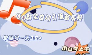 QQ群全自动引流音乐粉，单账号一天轻松引流30+-林文副业站