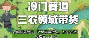 冷门赛道三农领域带货，视频拍摄简单，转化高带货强，农村必做！【揭秘】-林文副业站