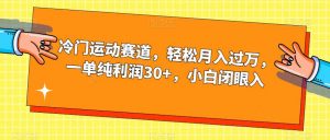 冷门运动赛道，轻松月入过万，一单纯利润30+，小白闭眼入【揭秘】-林文副业站