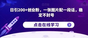 日引200+创业粉,一张图片配一段话,稳定不封号【揭秘】-林文副业站