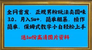 全网首发正规男粉玩法卖圆味3.0，月入5W+，简单粗暴，操作简单，保姆式教学，小白轻松上手-林文副业站
