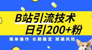 B站引流技术：每天引流200精准粉，简单操作，长期稳定，规避风险-林文副业站