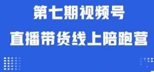 视频号直播带货线上陪跑营第七期：算法解析+起号逻辑+实操运营-林文副业站
