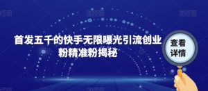 首发五千的快手无限曝光引流创业粉精准粉揭秘-林文副业站