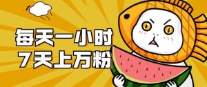 暴力涨粉项目:每天一小时,七天上万粉【揭秘】-林文副业站