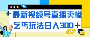 最新视频号直播卖惨乞讨玩法，流量嘎嘎滴，轻松日入300+-林文副业站