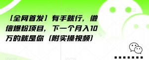 【全网首发】有手就行,微信爆粉项目,下一个月入10万的就是你(附实操视频)【揭秘】-林文副业站
