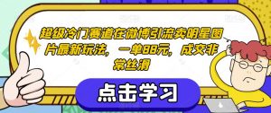 超级冷门赛道在微博引流卖明星图片最新玩法，一单88元，成交非常丝滑【揭秘】-林文副业站