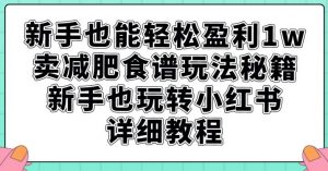 新手也能轻松盈利1w，卖减肥食谱玩法秘籍，新手也玩转小红书详细教程【揭秘】-林文副业站