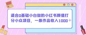 适合0基础小白做的小红书颜值打分小众项目,一条作品收入1000+【揭秘】-林文副业站