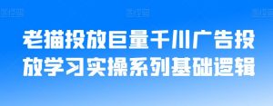 老猫投放巨量千川广告投放学习实操系列基础逻辑-林文副业站