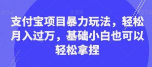 支付宝项目暴力玩法，轻松月入过万，基础小白也可以轻松拿捏【揭秘】-林文副业站