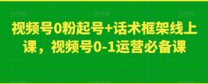 视频号0粉起号+话术框架线上课，视频号0-1运营必备课-林文副业站