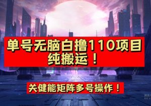 9月全网首发，单号直接白撸110！可多号操作，无脑搬运复制粘贴【揭秘】-林文副业站