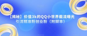 【揭秘】价值3k的QQ小世界截流曝光引流精准粉创业粉（附脚本）-林文副业站