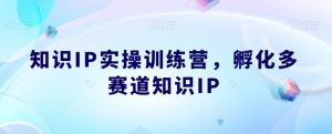 知识IP实操训练营，​孵化多赛道知识IP-林文副业站