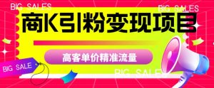 商K引粉变现项目，高客单价精准流量【揭秘】-林文副业站