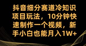 抖音细分赛道冷知识项目玩法，10分钟快速制作一个视频，新手小白也能月入1W+【揭秘】-林文副业站