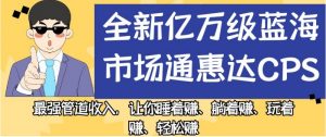 全新亿万级蓝海市场通惠达cps，最强管道收入，让你睡着赚、躺着赚、玩着赚、轻松赚【揭秘】-林文副业站