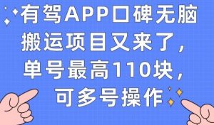 有驾APP口碑无脑搬运项目又来了，单号最高110块，可多号操作-林文副业站