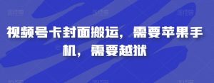 视频号卡封面搬运，需要苹果手机，需要越狱-林文副业站