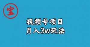 宝哥视频号无货源带货视频月入3w，详细复盘拆解-林文副业站