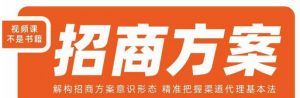 王昕招商方案,解构招商方案意识形态,精准把握渠道代理基本法-林文副业站