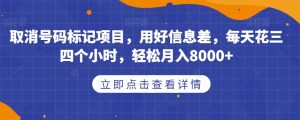 取消号码标记项目，用好信息差，每天花三四个小时，轻松月入8000+【揭秘】-林文副业站