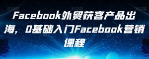 Facebook外贸获客产品出海,0基础入门Facebook营销课程-林文副业站