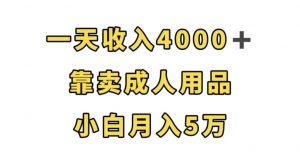 一天收入4000+，靠卖成人用品，小白轻松月入5万【揭秘】-林文副业站