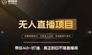 前线玩家快手无人直播带货课，带你从0-1打造，真正的日不落直播间-林文副业站