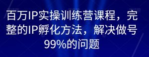 百万IP实操训练营课程,完整的IP孵化方法,解决做号99%的问题-林文副业站