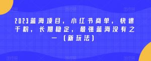 2023蓝海项目,小红书商单,快速千粉,长期稳定,最强蓝海没有之一(新玩法)-林文副业站