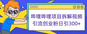哔哩哔哩项目拆解引流创业粉日引300+小白可轻松上手【揭秘】-林文副业站