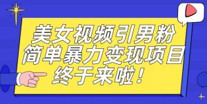 价值3980的男粉暴力引流变现项目，一部手机简单操作，新手小白轻松上手，每日收益500+【揭秘】-林文副业站