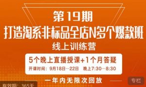 打造淘系非标全店N多个爆款线上课，​5天直播课-林文副业站