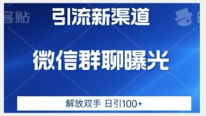 价值2980的全新微信引流技术，只有你想不到，没有做不到【揭秘】-林文副业站