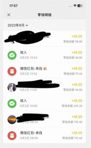 重磅揭秘!一个月9000+收益2023年9月最新yw男粉计划绿色玩法——人性利益更新玩法-林文副业站