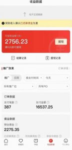 拼多多无人直播不封号玩法，0投入，3天必起，日入1000+-林文副业站