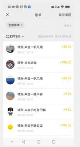 卖古籍电子书，作品只需要简单的图片去重，高客单价高利润，月入五位轻轻松松-林文副业站