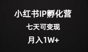 价值2000+的小红书IP孵化营项目,超级大蓝海,七天即可开始变现,稳定月入1W+-林文副业站