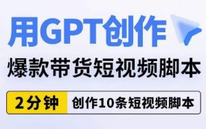 用GPT创作爆款带货短视频脚本,2分钟创作10条短视频脚本-林文副业站