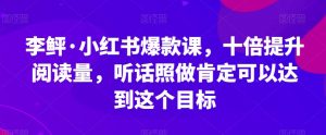 李鲆·小红书爆款课，十倍提升阅读量，听话照做肯定可以达到这个目标-林文副业站