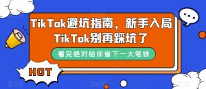 TikTok避坑指南,新手入局TikTok别再踩坑了-林文副业站