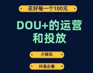 DOU+的运营和投放，花1条DOU+的钱，成为DOU+的投放高手，少走弯路不采坑-林文副业站