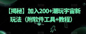 【揭秘】加入200+潮玩宇宙新玩法(附软件工具+教程)-林文副业站